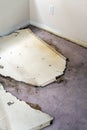 Water leaking damaged plasterboard and carpet Royalty Free Stock Photo