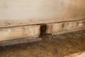 Water leaking through foundation wall in crawlspace of house Royalty Free Stock Photo