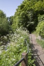 Water of Leith Walkway, Dean Village; Edinburgh