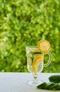 Water with lemons and cucumber slices in the glass on the blurred nature background with copy space. Summer cold cocktails Royalty Free Stock Photo