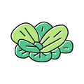 water lettuce color icon vector illustration