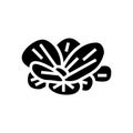 water lettuce glyph icon vector illustration