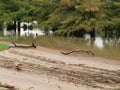 Water Level High Marks Appear On Roadway of Filter Building Parking Lot Royalty Free Stock Photo