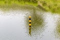 Water level indicator pole in natural lake showing the depth of Royalty Free Stock Photo