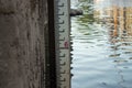A water level indicator in the River Ouse, York Royalty Free Stock Photo