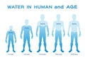 Water level level,in the human body and age vector / infographic