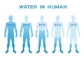 Water level level,in the human body vector / infographic