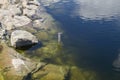 Water level marker in a reservoir Royalty Free Stock Photo