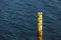 Water level meter located in the water of the dam. Concepts for natural resources. Water level gauges in the background is the re