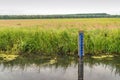 Water level scale in a Dutch ditch Royalty Free Stock Photo