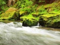 Water level under fresh green trees at mountain river. Fresh spring air in the evening Royalty Free Stock Photo