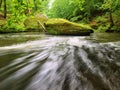 Water level under fresh green trees at mountain river. Royalty Free Stock Photo