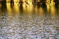 Water level, water in motion. Reflected structure of the surroundings is distorted by the movement of water. Abstract blue backgro Royalty Free Stock Photo