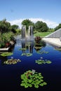 Water lilies in the Denver botanical gardens