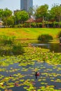 Kiryat Sefer Park in Tel Aviv Royalty Free Stock Photo