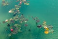 Water Lilies On A Green Surface Of A Pond. Recreation Concept