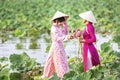 Water lilies on hand. Two Vietnamese woman is sitting on a wooden boat and collecting pink lotus flowers. Female boating on lakes Royalty Free Stock Photo