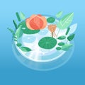 Water lilies and lotus fruit, aquatic plants. Ecology. Pure clean water. Vector Royalty Free Stock Photo