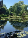 Water lilies at Monet\'s Garden  Giverny  France. Royalty Free Stock Photo