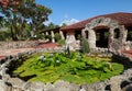 Water lilies at Pinecrest Gardens Royalty Free Stock Photo