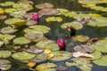 Kiryat Sefer Park in Tel Aviv Royalty Free Stock Photo