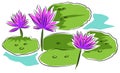 Water lilies