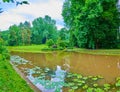 Water lilies in small pond in Sofiyivsky Park in Uman, Ukraine Royalty Free Stock Photo