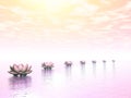 Water lilies steps to the sun - 3D render Royalty Free Stock Photo