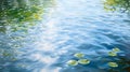 Water Lilies in Tranquil Waters./n