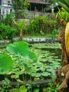 Water Lilly pond at the famous King& x27; s Palace in Bali, Indonesia Royalty Free Stock Photo
