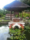 Water Lilly pond at the King's Palace  in Bali, Indonesia Royalty Free Stock Photo