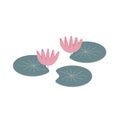 Water lily flower, simple vector hand drawn illustration isolated on white background Royalty Free Stock Photo