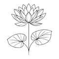 water lily larkspur July birth flower tattoo, realistic black and white water lily tattoo, water lily tattoo black and whit