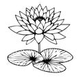 water lily larkspur July birth flower tattoo, realistic black and white water lily tattoo, water lily tattoo black and white