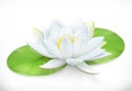 Water lily. Lotus flower. Vector icon Royalty Free Stock Photo