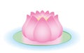 Water Lily Pink Half Opened Lotus Flower Royalty Free Stock Photo