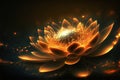 Water Lily, Radiant Orange Lotus with Rays of Light Royalty Free Stock Photo