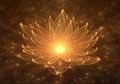 Water Lily, Radiant Orange Lotus with Rays of Light Royalty Free Stock Photo