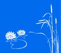 Water lily and reed