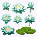 Water Lily Set: Vector Svg Flat Minimalistic Animation Asset Royalty Free Stock Photo