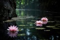 water lily thriving in murky pond