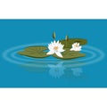 Water lily vector on the lake with leavs and flower buds Royalty Free Stock Photo