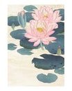 Water lily vintage wall art print poster design remix from original artwork by Ohara Koson Royalty Free Stock Photo