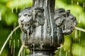 Water from lions mouth Royalty Free Stock Photo