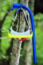 Water mask and breathing pipe hanging on the tree on green forest natural background. Diving accessories as sign of summer sport