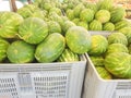 Water mellons green on greencrocery kiosk in greece Royalty Free Stock Photo