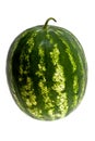 Water-melon