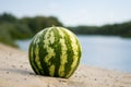 Water-melon