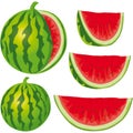 Water melon