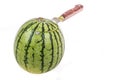 Water melon Royalty Free Stock Photo